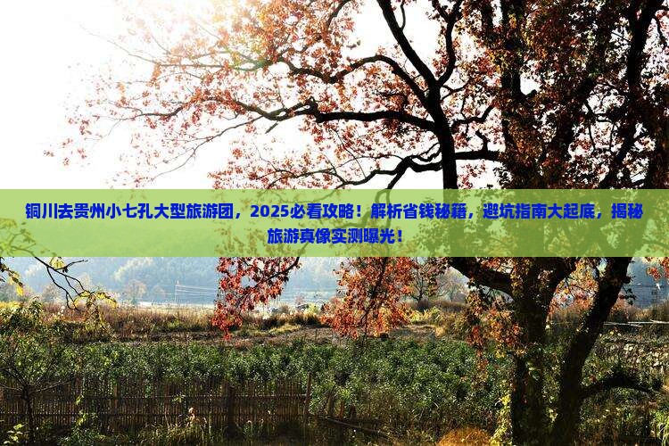 铜川去贵州小七孔大型旅游团