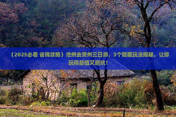 沧州去贵州三日游