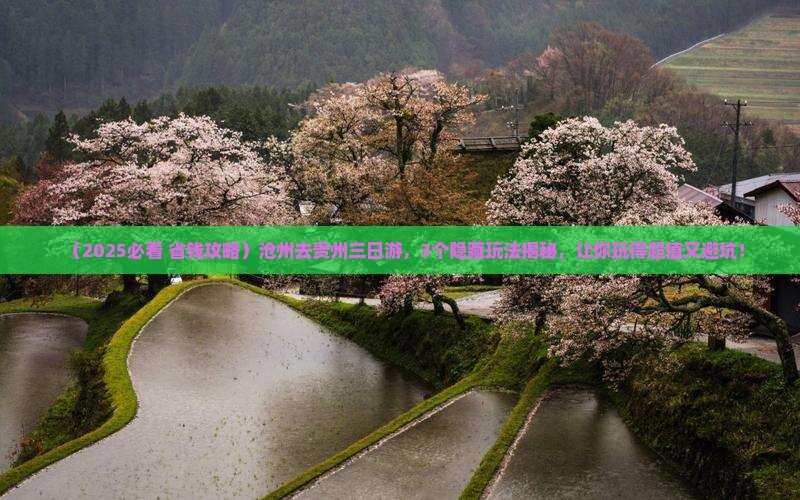 沧州去贵州三日游