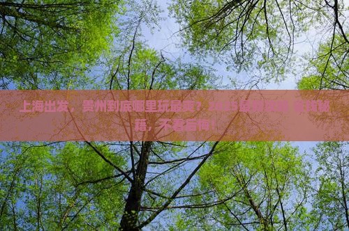 上海到贵州哪里玩