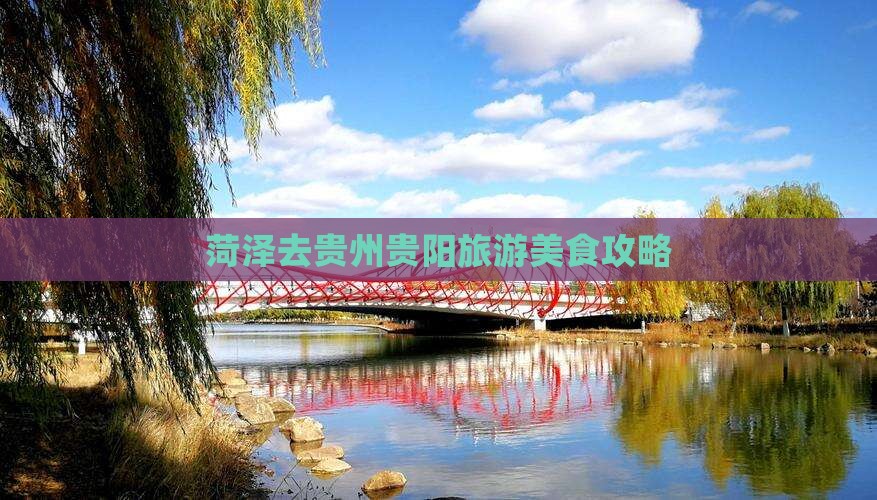 菏泽去贵州贵阳旅游小吃