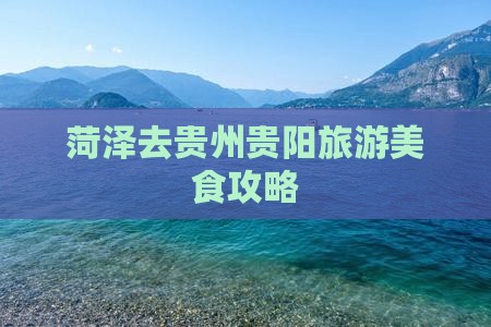 菏泽去贵州贵阳旅游小吃