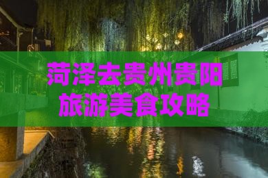 菏泽去贵州贵阳旅游小吃