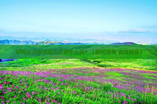 双鸭山去贵州贵阳三日游