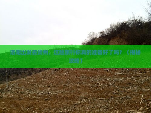 洛阳去贵州个人游