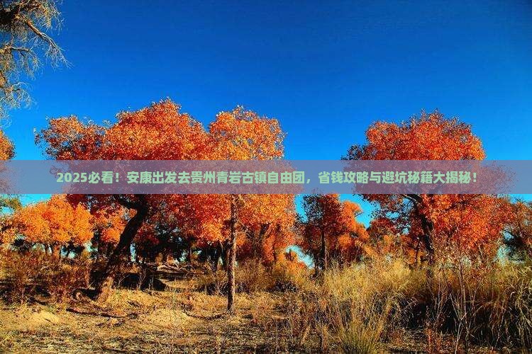 安康到贵州青岩古镇自由团