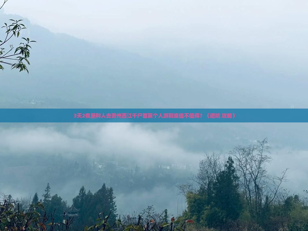 垦利去贵州西江千户苗寨个人游