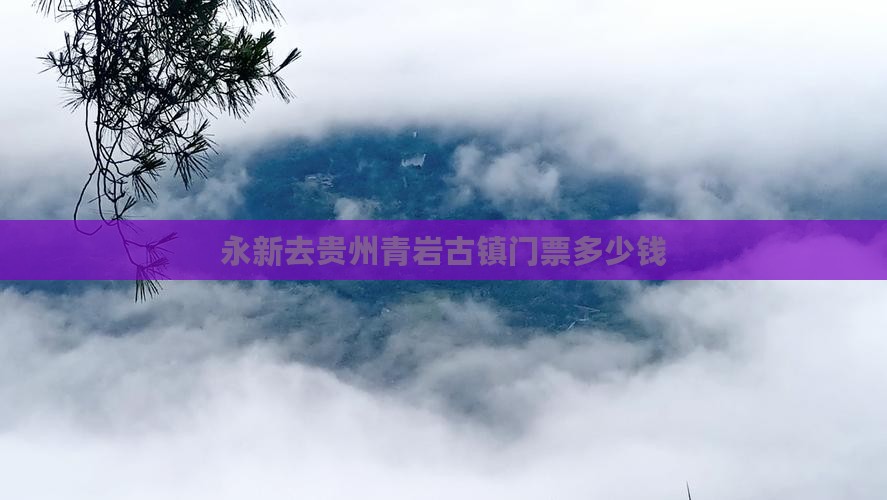 永新去贵州青岩古镇门票
