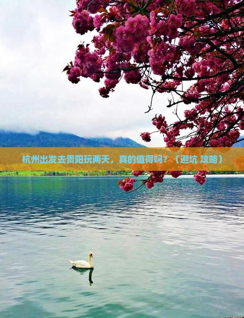 杭州去贵州贵阳二日游
