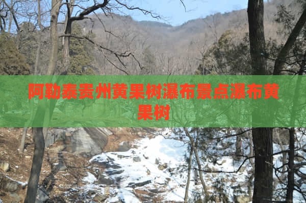 阿泰勒去贵州黄果树瀑布景点