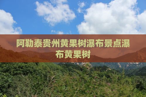 阿泰勒去贵州黄果树瀑布景点