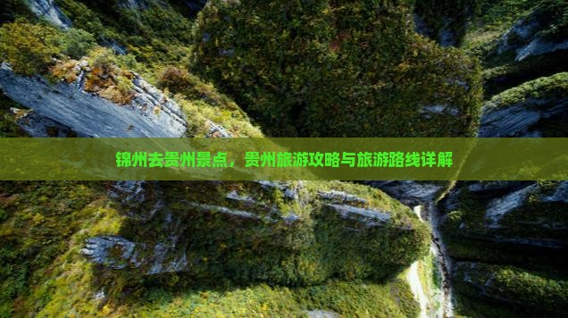 锦州去贵州景点