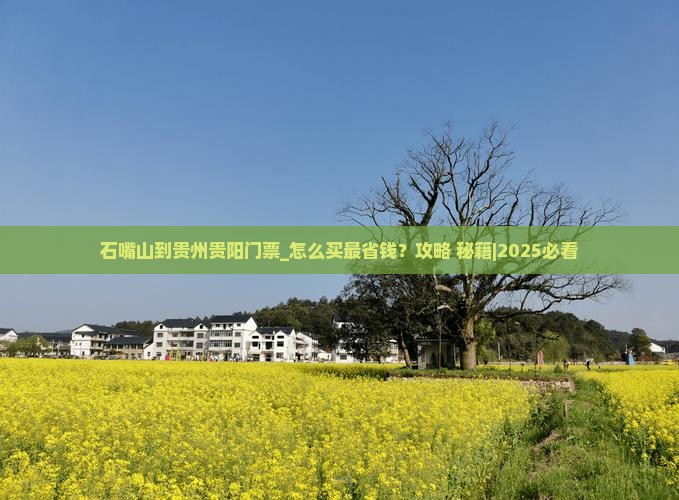 石嘴山到贵州贵阳门票