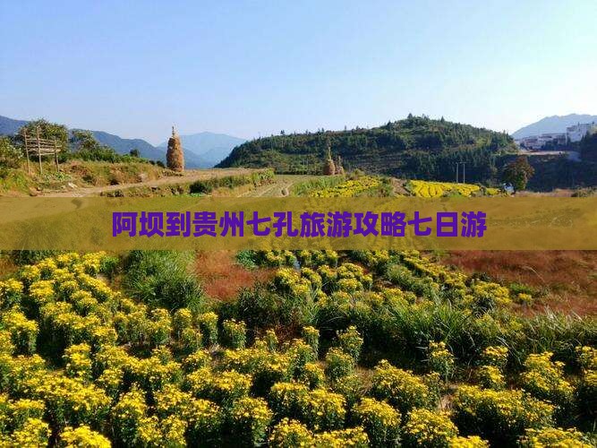 阿坝到贵州小七孔七日游