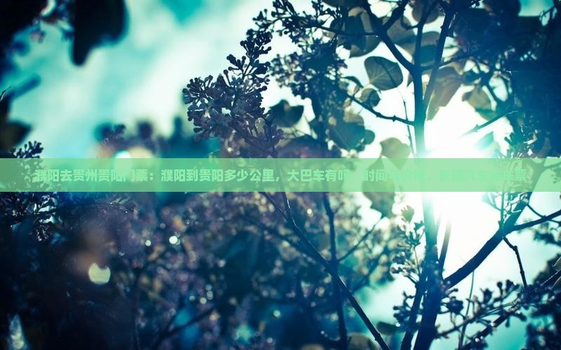 濮阳去贵州贵阳门票