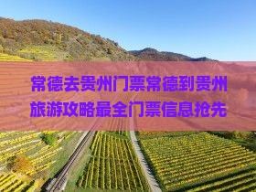 常德去贵州门票