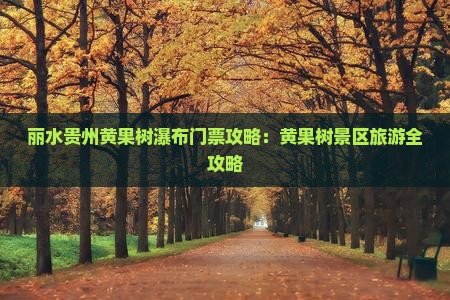 丽水去贵州黄果树瀑布门票