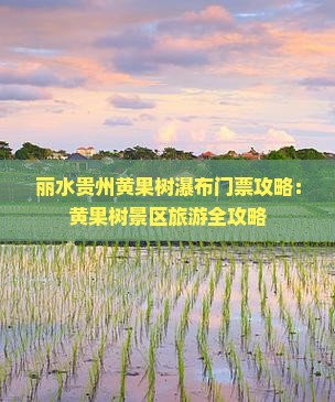 丽水去贵州黄果树瀑布门票