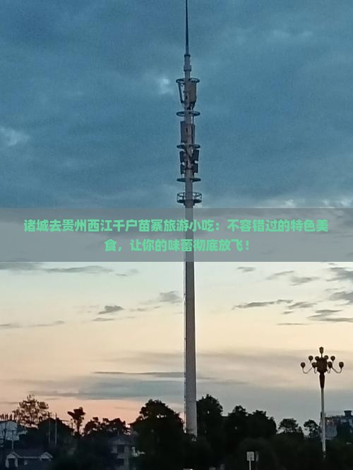 诸城去贵州西江千户苗寨旅游小吃