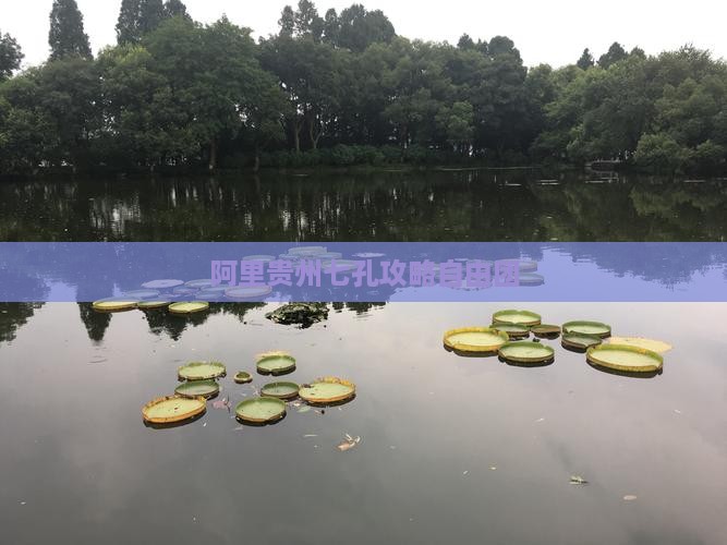 阿里到贵州小七孔自由团