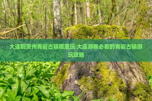 大连到贵州青岩古镇哪里玩