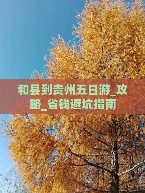 和县到贵州五日游