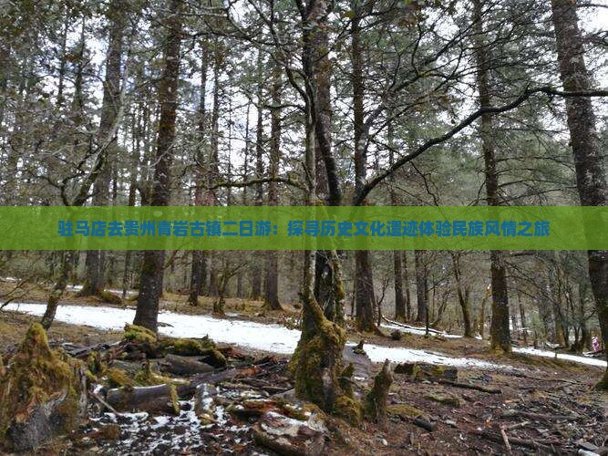 驻马店去贵州青岩古镇二日游：探寻历史文化遗迹体验民族风情之旅
