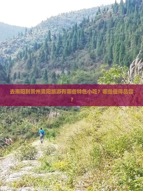 去南阳到贵州贵阳旅游有哪些特色小吃？哪些值得品尝？