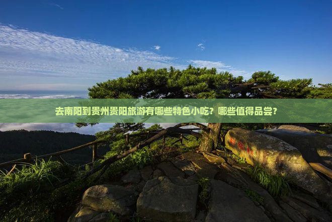 去南阳到贵州贵阳旅游有哪些特色小吃？哪些值得品尝？