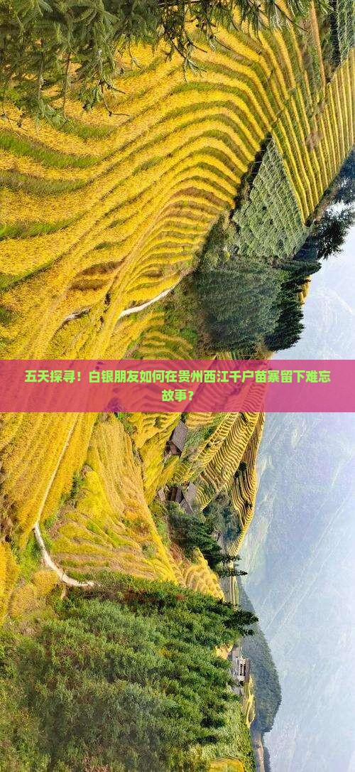 五天探寻！白银朋友如何在贵州西江千户苗寨留下难忘故事？