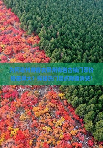为何亳州游客去贵州青岩古镇门票价格差异大？探秘热门景点隐藏消费！