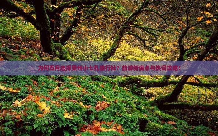 为何五月选择贵州小七孔旅行社？旅游新痛点与热词攻略！