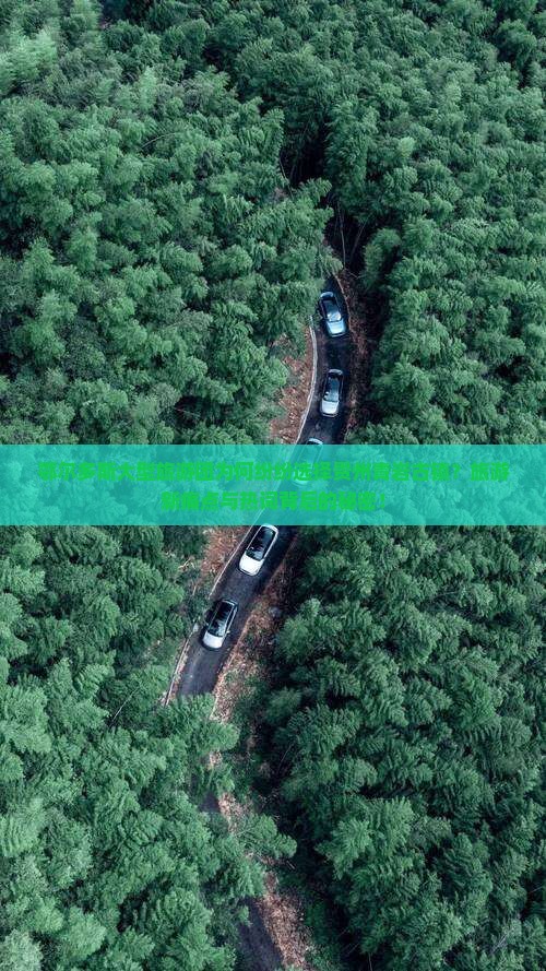 鄂尔多斯大型旅游团为何纷纷选择贵州青岩古镇？旅游新痛点与热词背后的秘密！