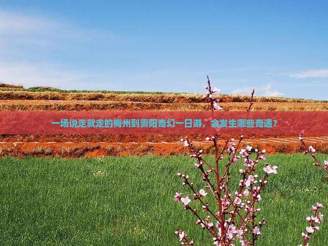 一场说走就走的梅州到贵阳奇幻一日游，会发生哪些奇遇？