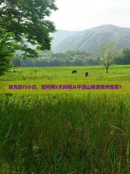 身为旅行小白，如何用5天时间从平顶山畅游贵州美景？
