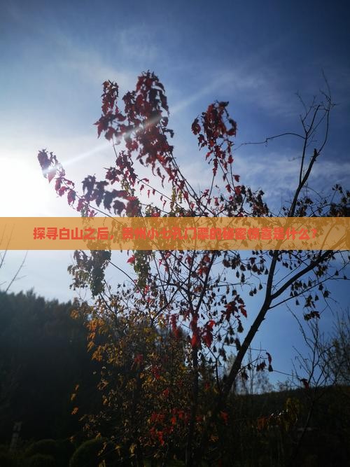 探寻白山之后，贵州小七孔门票的秘密惊喜是什么？