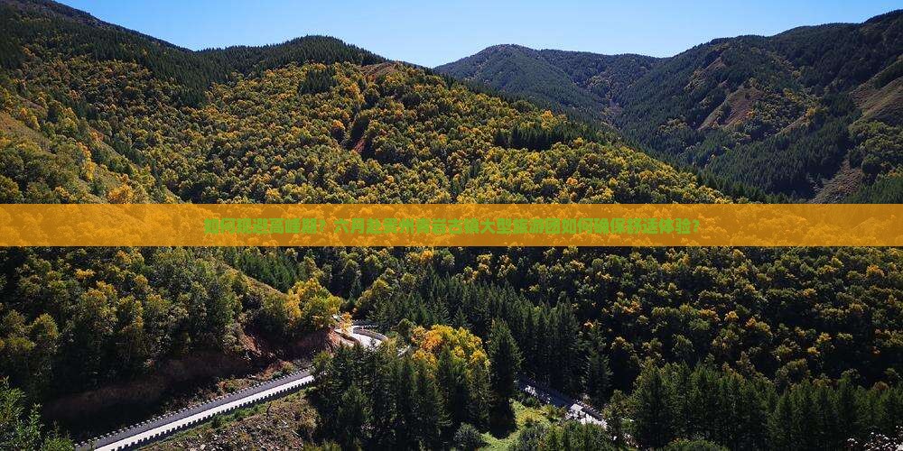 如何规避高峰期？六月赴贵州青岩古镇大型旅游团如何确保舒适体验？