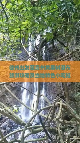德州出发至贵州黄果树瀑布旅游攻略及当地特色小吃推荐有哪些？