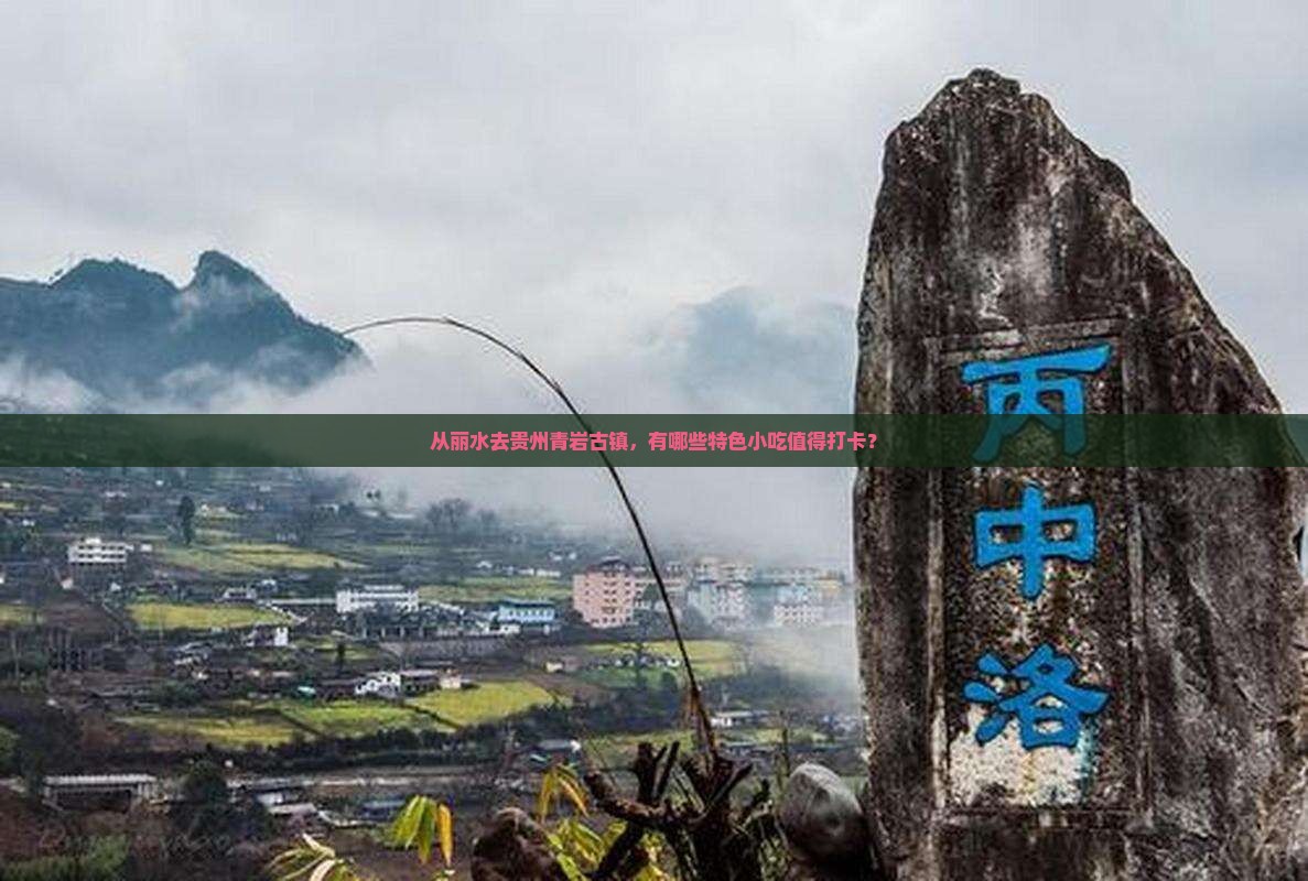 从丽水去贵州青岩古镇，有哪些特色小吃值得打卡？