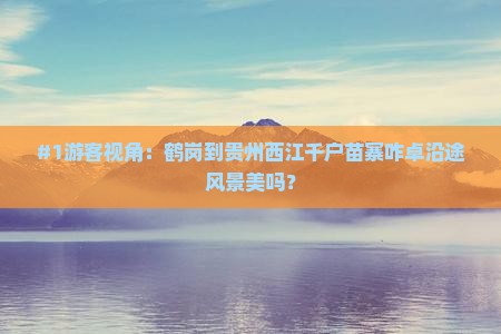 #1游客视角：鹤岗到贵州西江千户苗寨咋卓沿途风景美吗？