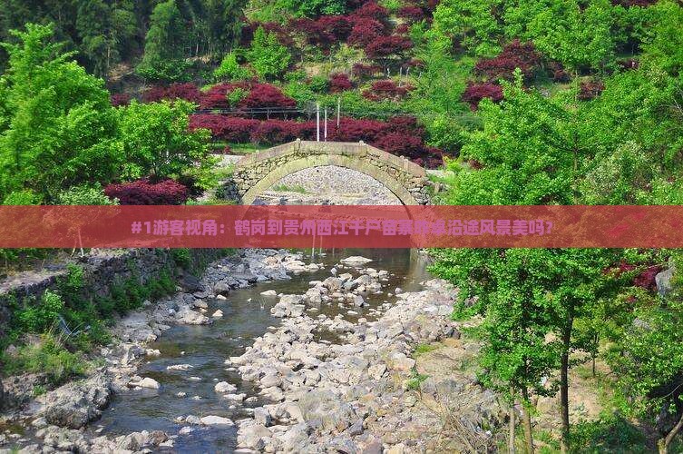 #1游客视角：鹤岗到贵州西江千户苗寨咋卓沿途风景美吗？