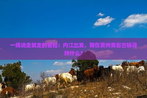 一场说走就走的冒险：内江出发，我在贵州青岩古镇寻找什么？