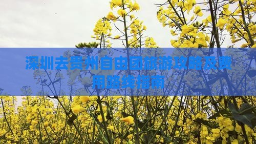 深圳去贵州自由团旅游攻略及费用路线指南