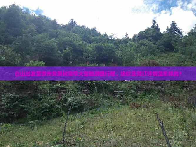 白山出发至贵州黄果树瀑布大型旅游团行程、报价及预订详情是怎样的？