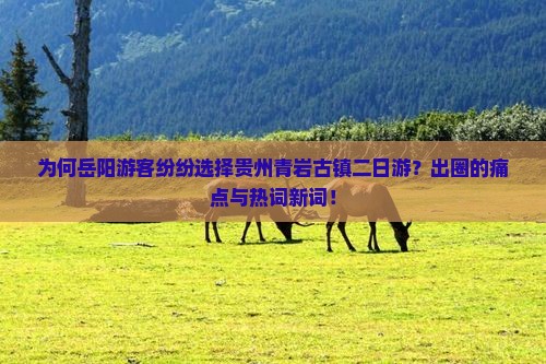 为何岳阳游客纷纷选择贵州青岩古镇二日游？出圈的痛点与热词新词！