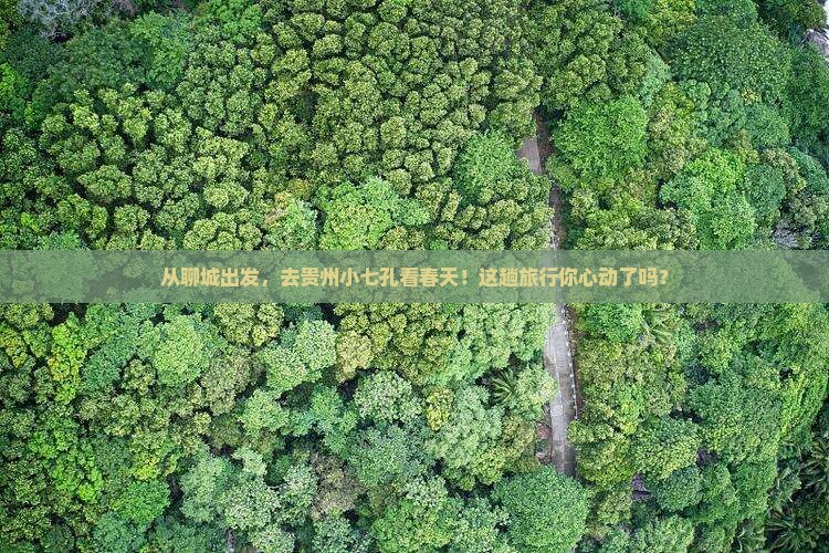 从聊城出发，去贵州小七孔看春天！这趟旅行你心动了吗？