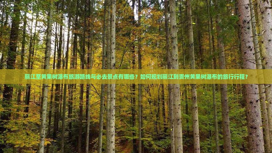 丽江至黄果树瀑布旅游路线与必去景点有哪些？如何规划丽江到贵州黄果树瀑布的旅行行程？