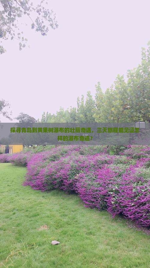 探寻青岛到黄果树瀑布的壮丽奇遇，三天旅程能见证怎样的瀑布奇迹？