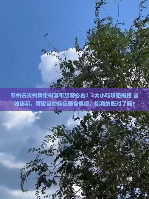 泰州去贵州黄果树瀑布旅游小吃