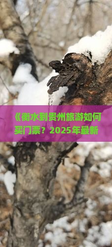 衡水到贵州门票